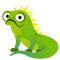 Iguana Pakiet
