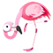 Flamingo packa ner