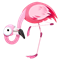 Flamingo pakke