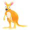 Kangaroo pack