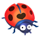 Coccinelle pack