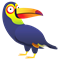 Toucan pack